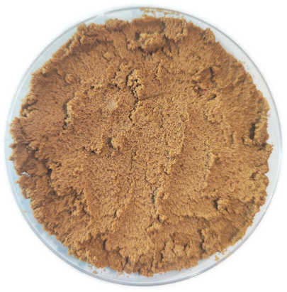 VivoHatch® – Aliment larvaire Nutec France