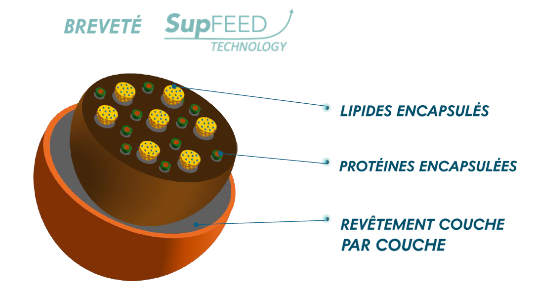 Technologie SupFeed™ – Encapsulation multicouche Nutec France